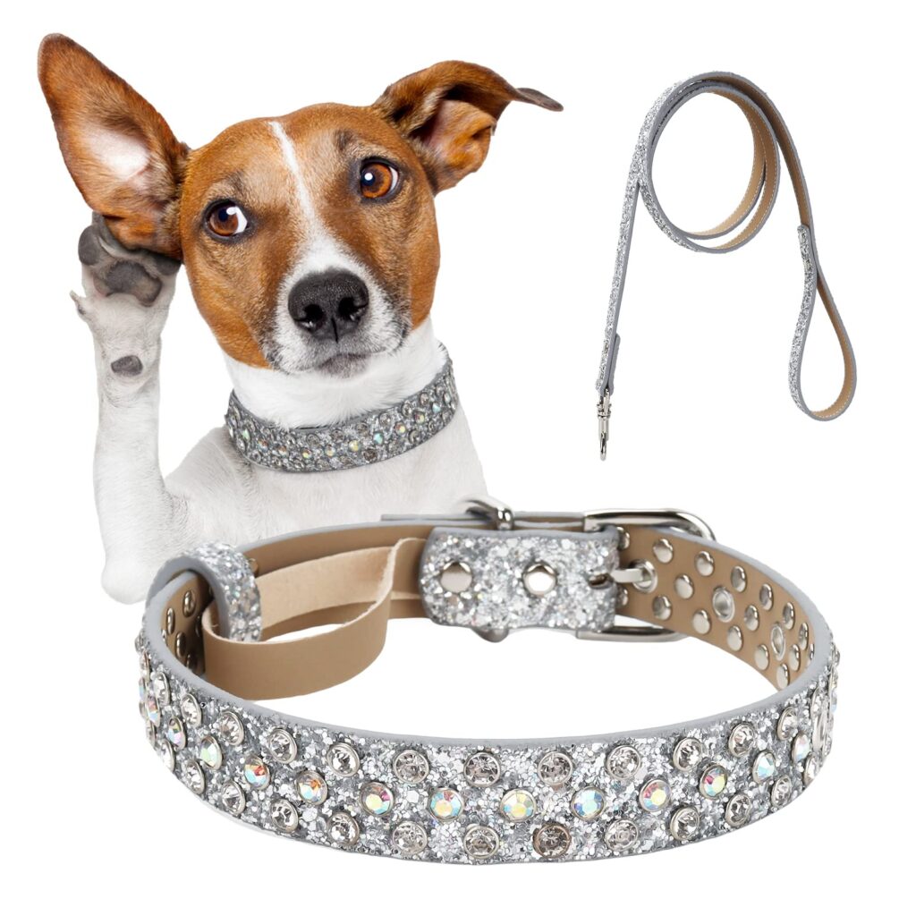 Diamond-Encrusted Dog Collar