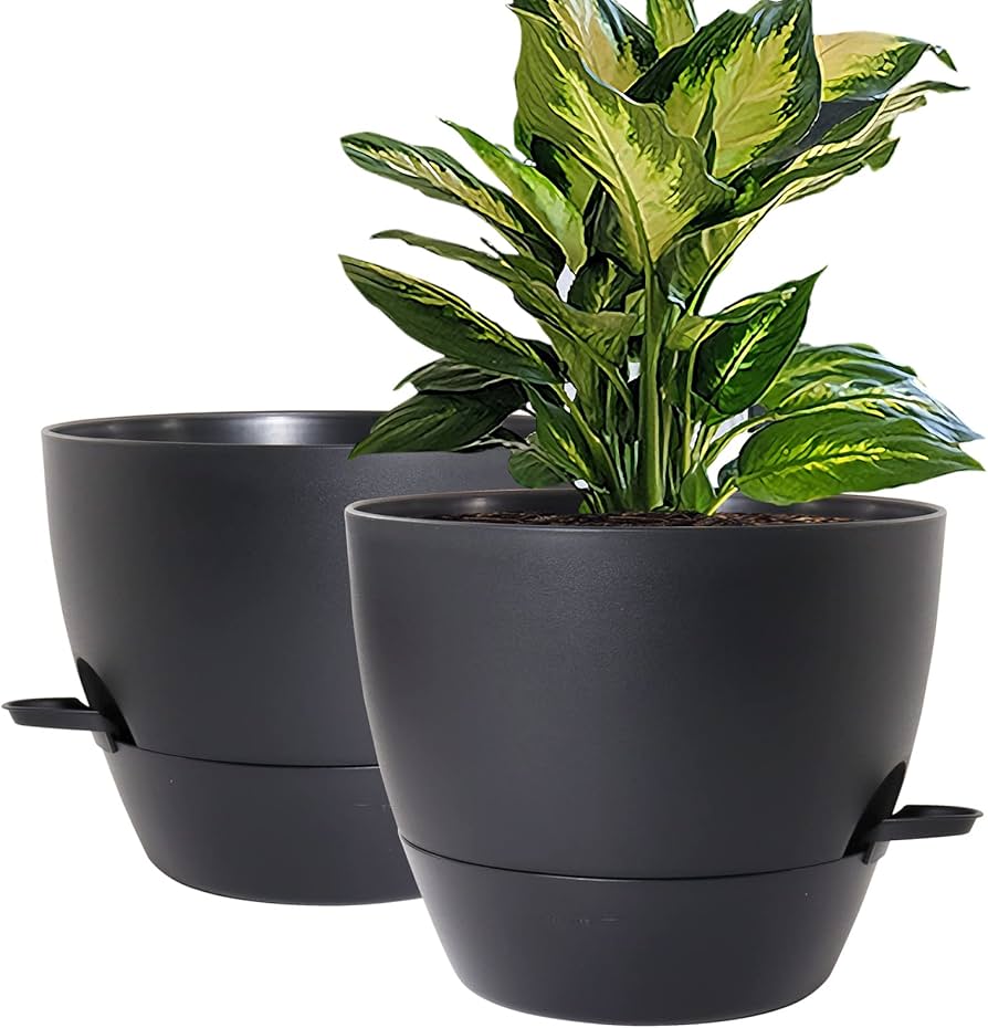 Self Watering Pots
