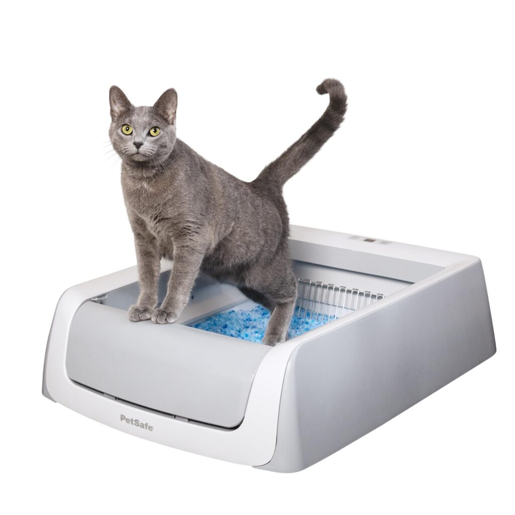 Swarovski Crystal Cat Litter Box