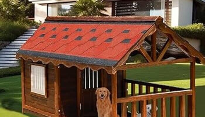 Dog House