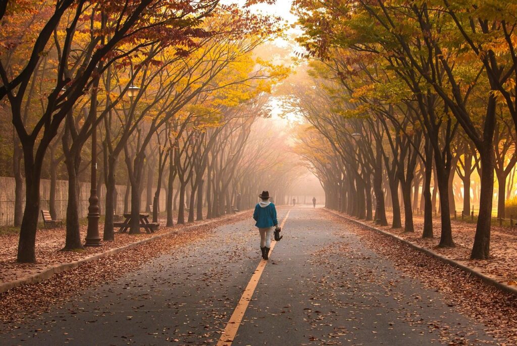 road, pavement, woman, trees, walk, girl, fog, walking, roadway, avenue, mist, leaves, foliage, autumn, nature, fall, park