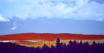 a field with trees and a mountain in the background