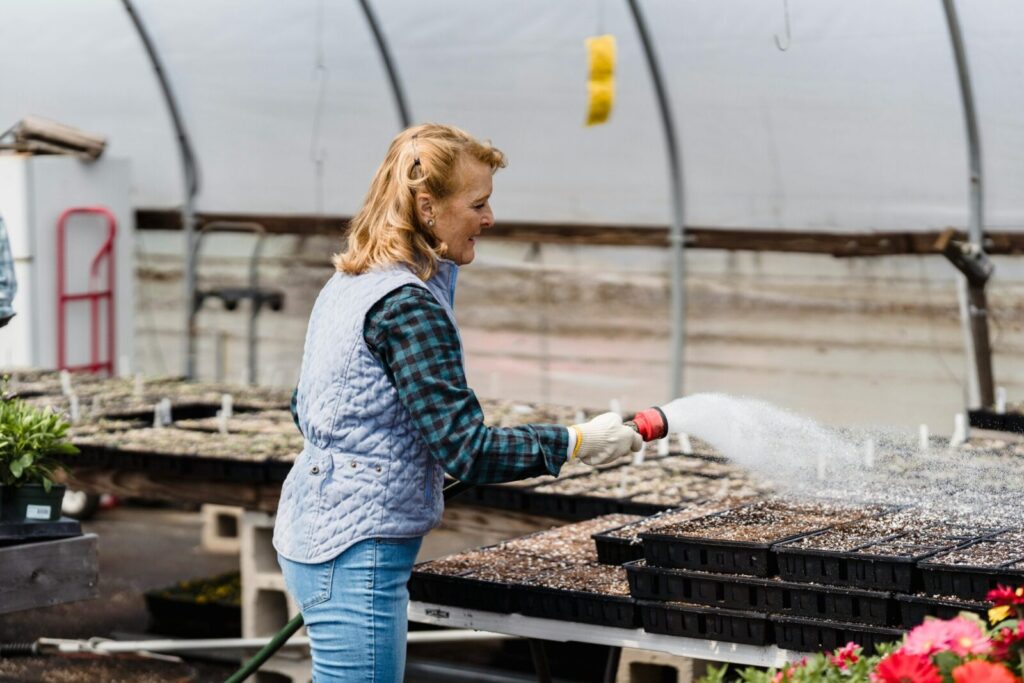 Female gardener in a greenhouse watering plants with a hose, engaged in horticulture.
