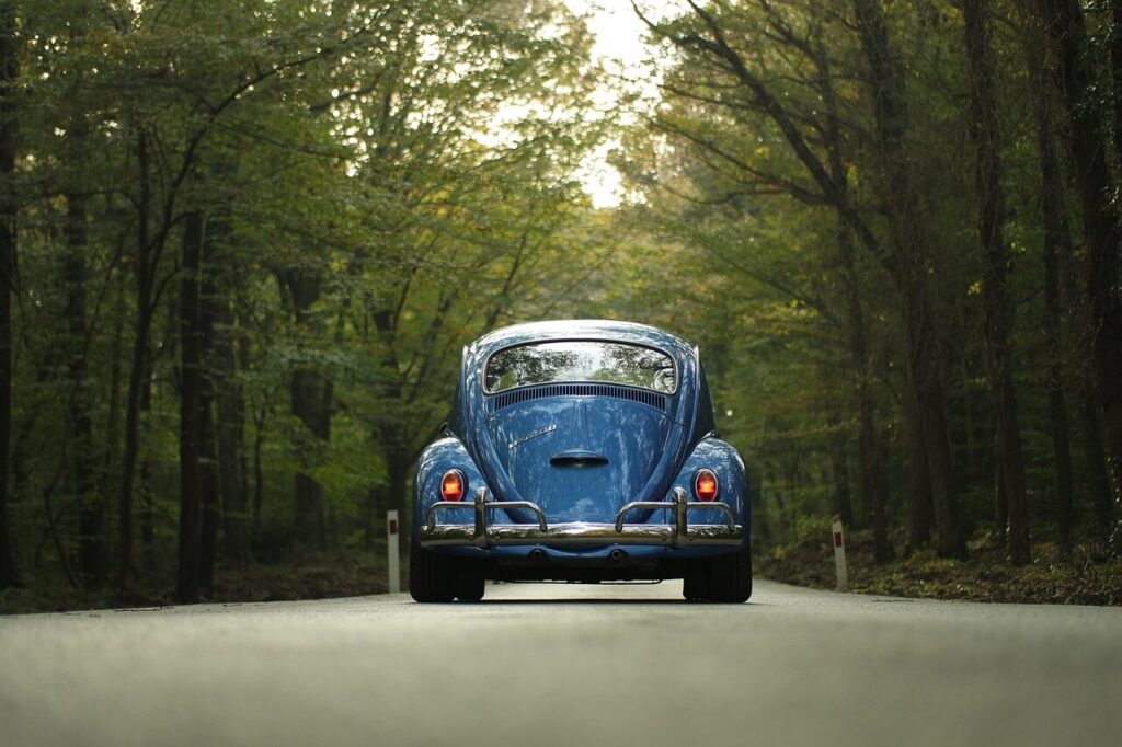 vw, beetle, car, classic car, forest, outdoors, road, drive, car wallpapers, road trip, trip, travel, nature, trees, vehicle, vintage, volkswagen, volkswagen beetle