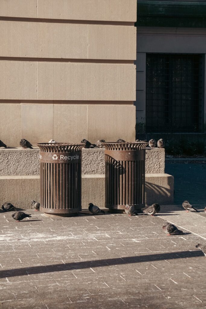 a group of birds sitting on top of trash cans