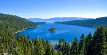 a large body of water surrounded by trees