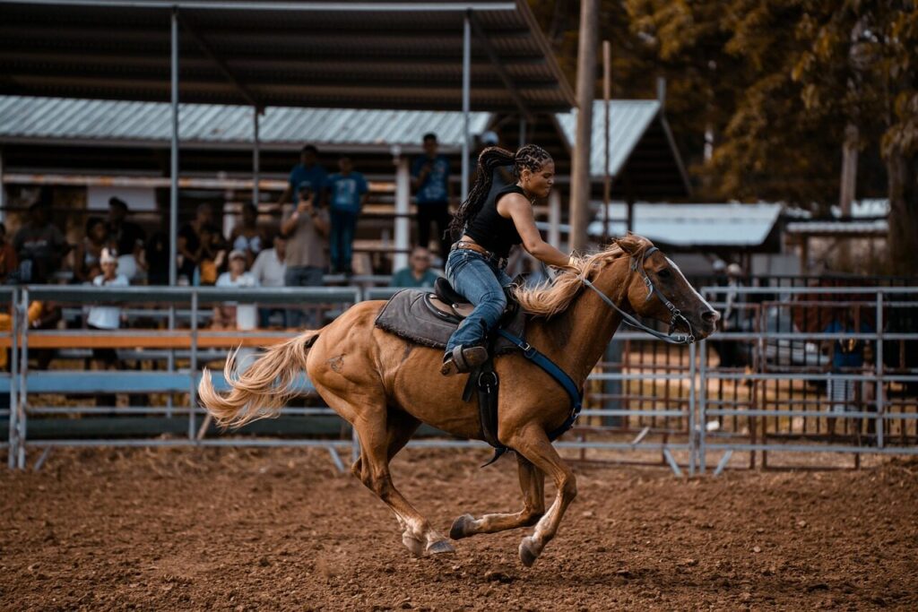 horse, rider, nature, rodeo, cowboy, show, agriculture, animal, livestock