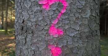 character, nature, question mark, communication, non-verbal, shape, symbol, icon, tree, pink, luminous color