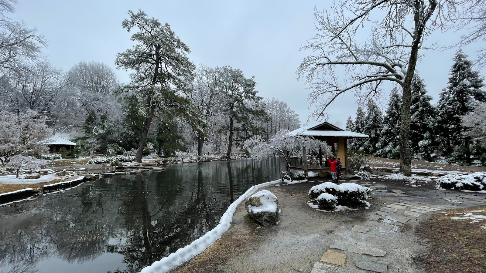 river between trees during daytime
