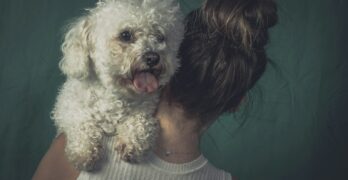 woman in green shirt holding white long coated small dog