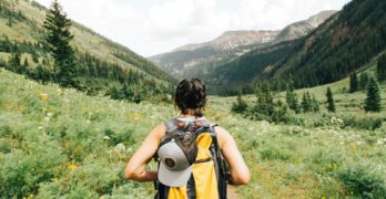 person carrying yellow and black backpack walking between green plants