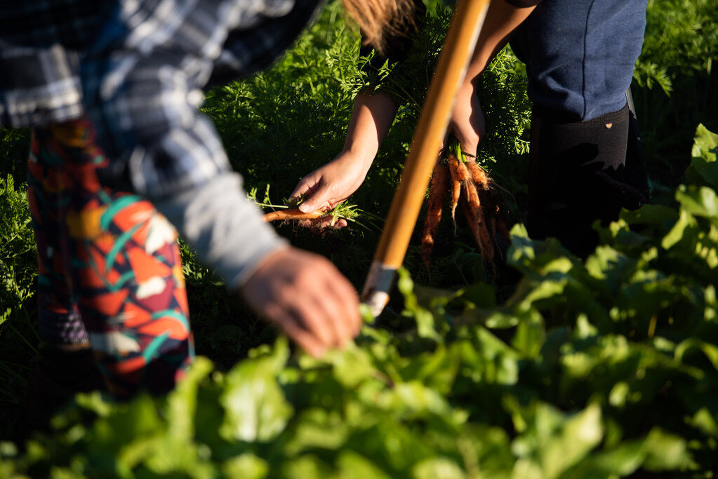 Community Gardening Programs