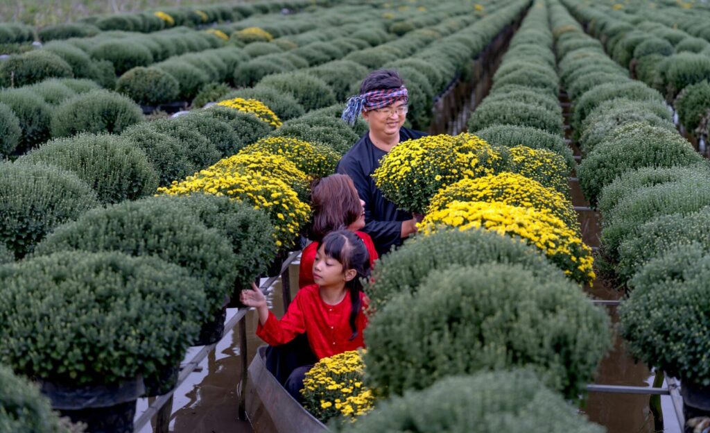 A cheerful family picking yellow chrysanthemums on a canal amidst lush green fields.