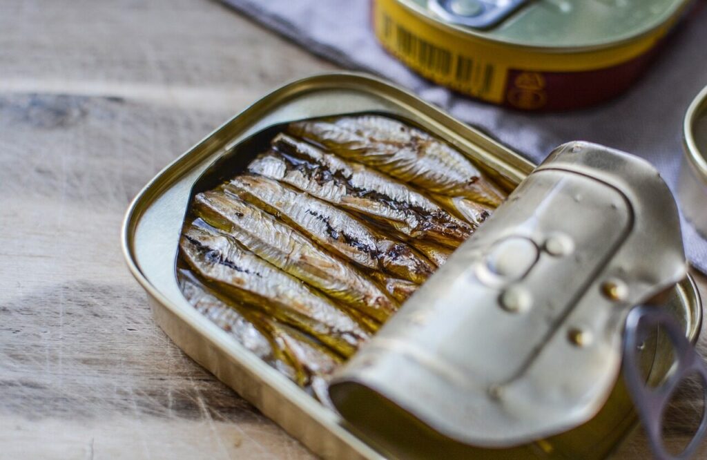 fish, can, metallic, aluminum, container, storage, sprats, sardines, omega 3, nature, fish oil, gray fish, gray fishing, gray metal