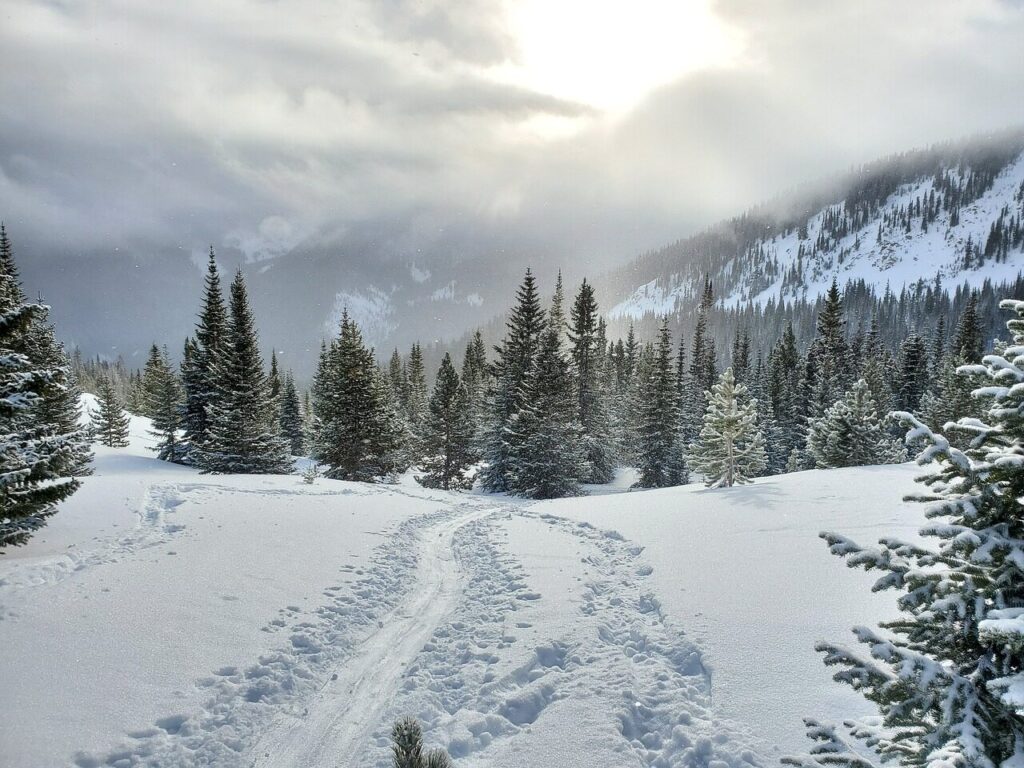 snow, mountains, colorado, trees, nature, winter, landscape