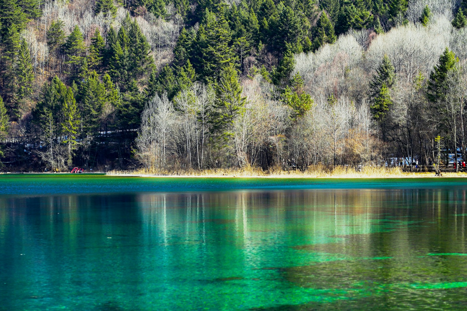 Lakes That Change Color With the Seasons and Why It Happens | The WiC ...