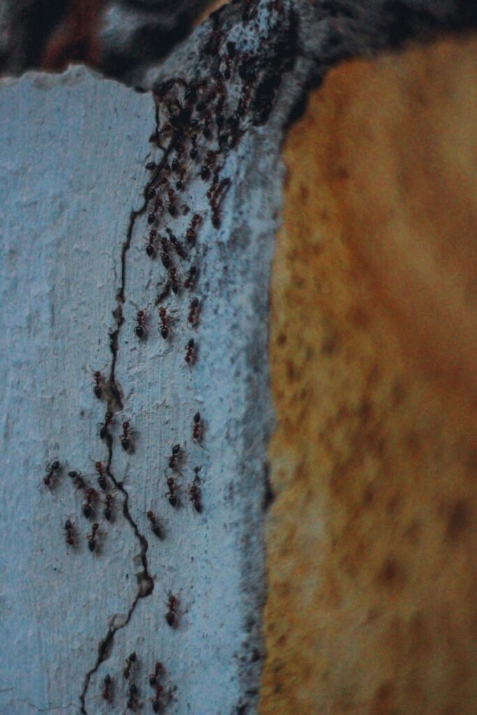 brown and black abstract painting