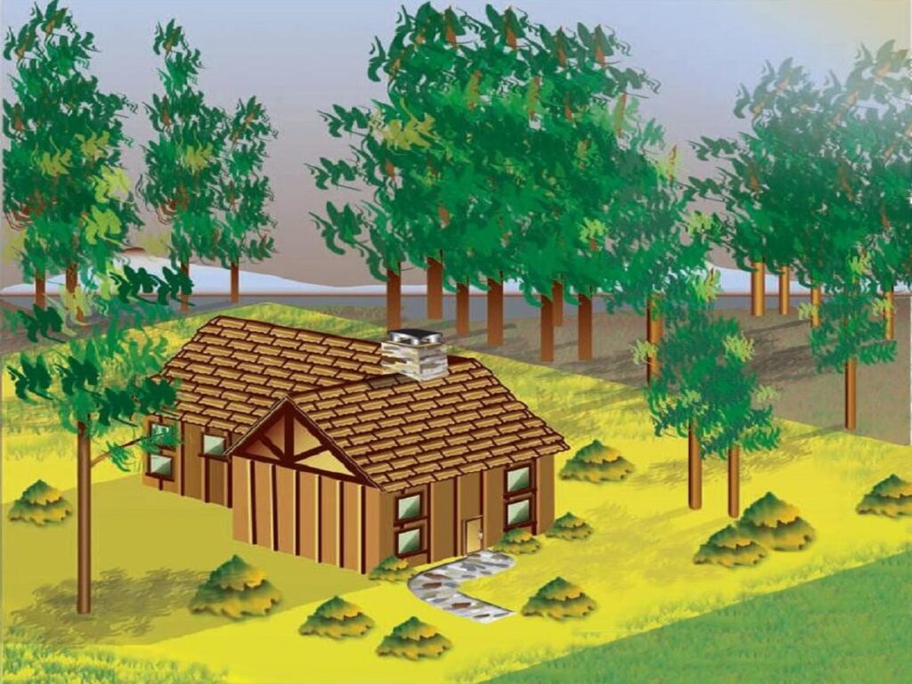 9 Ways Wildfire Risk Is Changing Home Design Preferences | The WiC ...