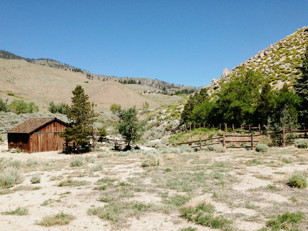 A small cabin in the middle of a field