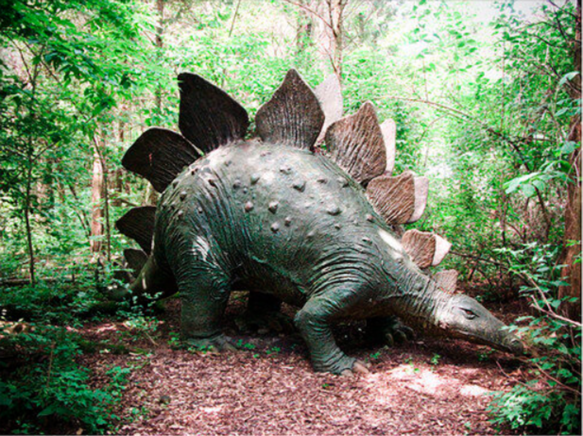 Prehistoric Forest and Mystery Hill (Ohio)