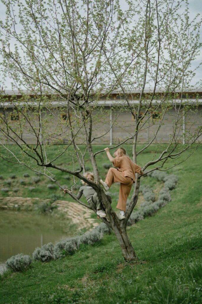Two children joyfully climbing a tree in a lush park setting, capturing the essence of outdoor play.